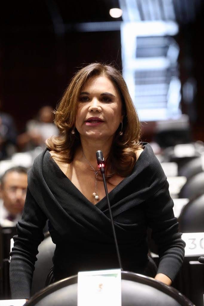 Todas y todos los legisladores debemos de cerrar filas en beneficio del país: Blanca Alcalá