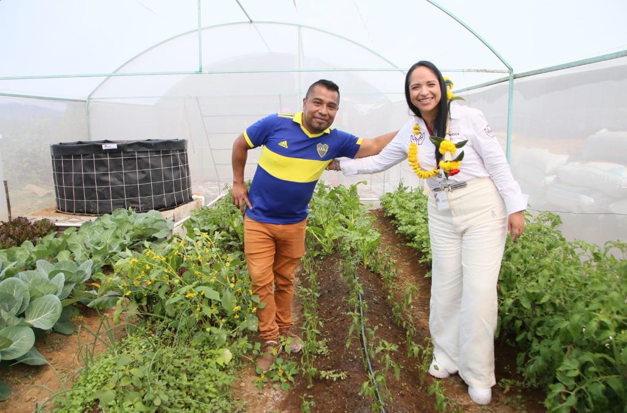 Garantiza Bienestar continuidad del Programa Integral Alimentario en Puebla