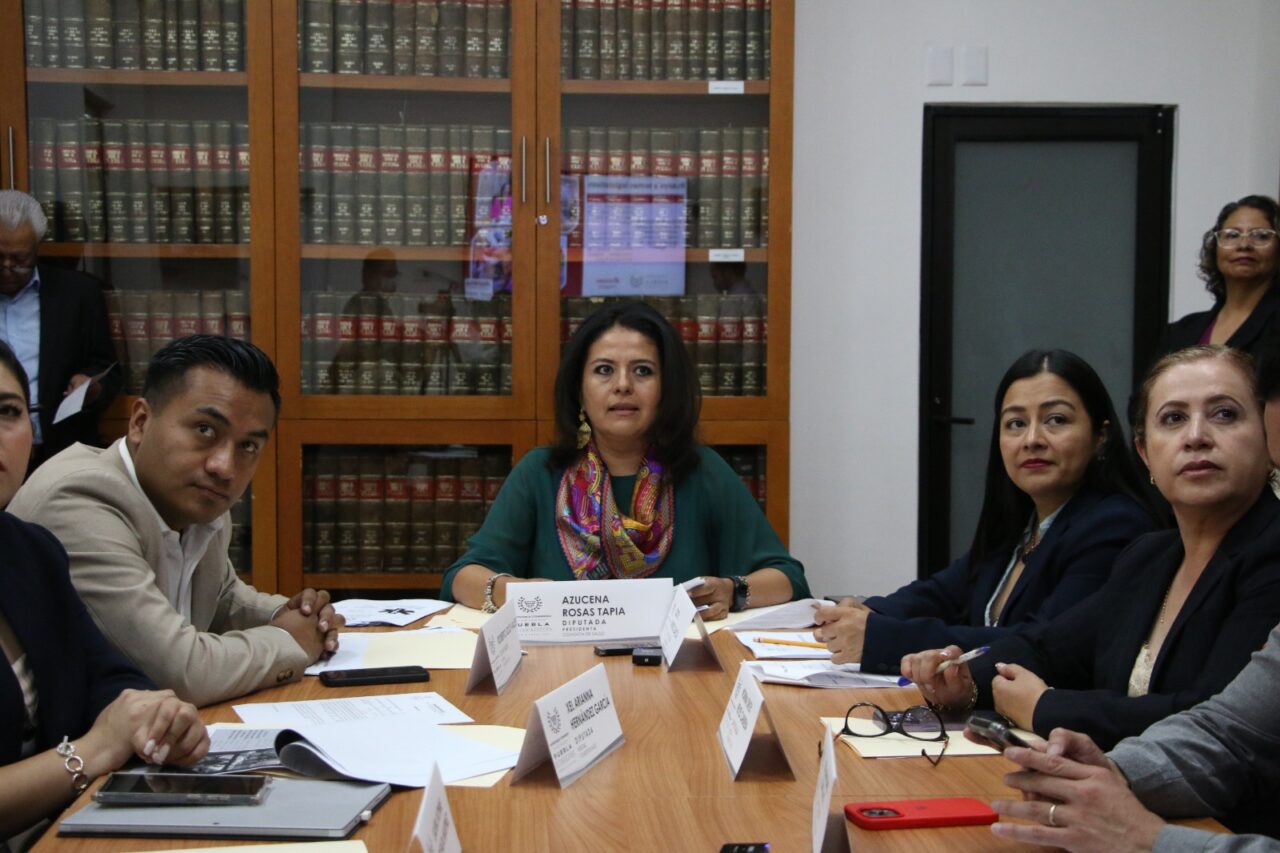 Aprueba Comisión del Congreso exhorto para que se implemente en Puebla el Programa Nacional para la Prevención del Suicidio