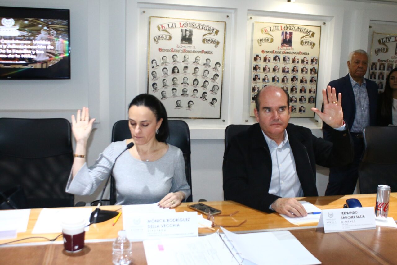 Comisiones Unidas del Congreso aprueban reformas para que órganos jurisdiccionales incluyan en el Registro Nacional a deudores alimentarios
