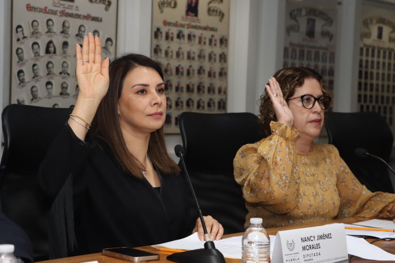 Presenta Comisión de Organizaciones No Gubernamentales del Congreso Informe Anual de Trabajo