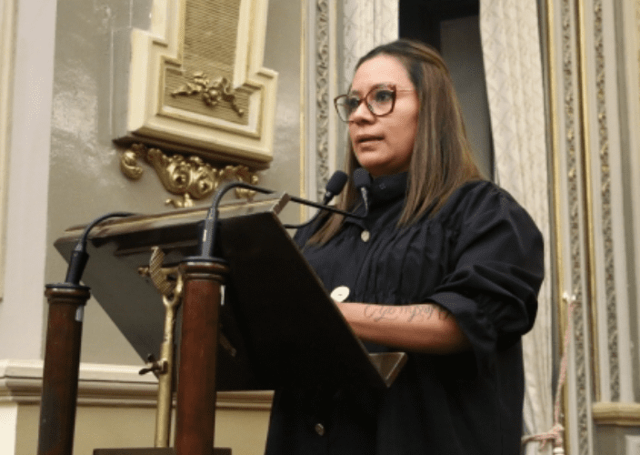 Impulsan iniciativa para vigilar funcionamiento de spas y hoteles para mascotas