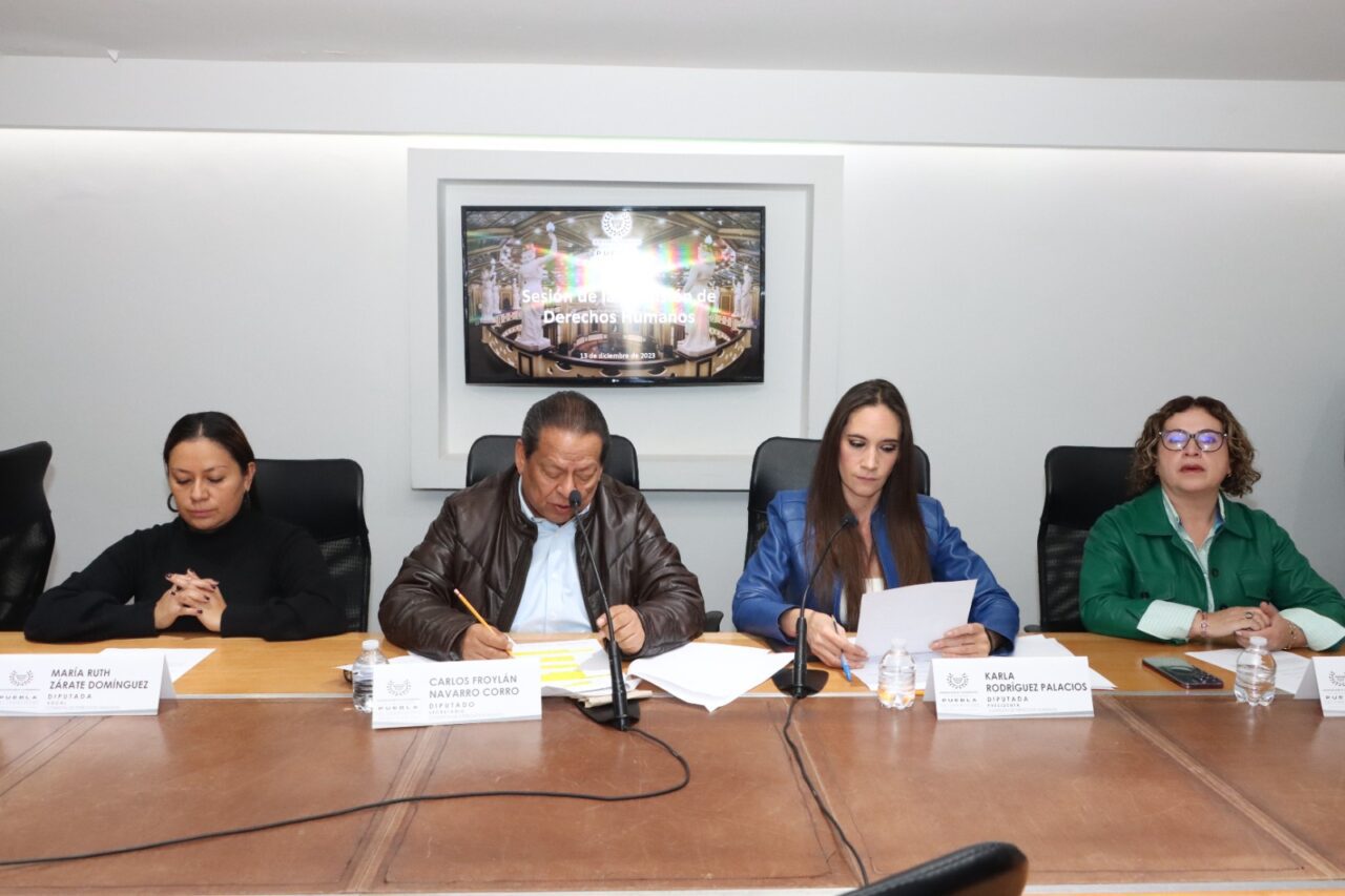 Aprueban en Comisión Convocatoria Pública para integrar el Comité para Prevenir y Eliminar la Discriminación del Poder Ejecutivo Estatal 