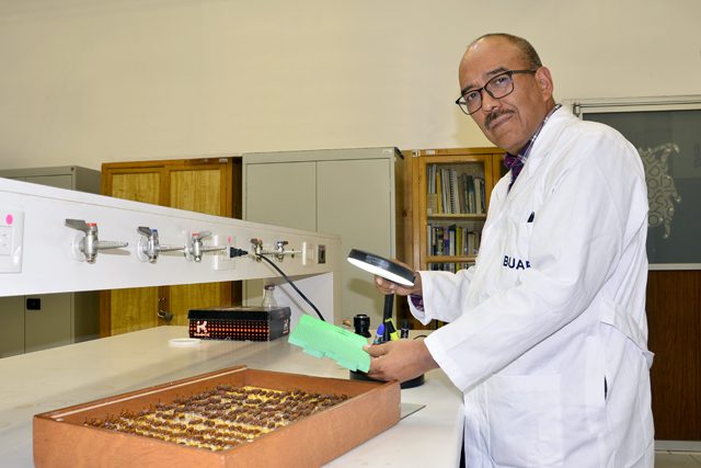 El estudio de insectos como indicadores ambientales