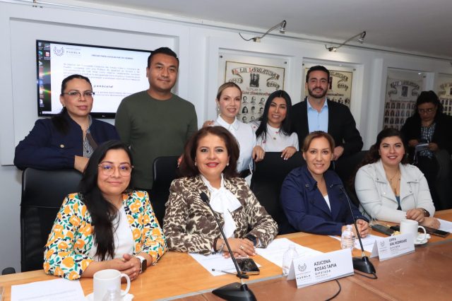 Presentan en Comisión del Congreso proyecto de Convocatoria para el proceso de consulta en materia de salud mental