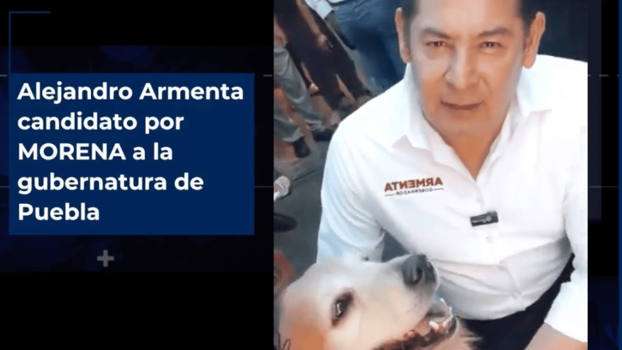 Tommy es mi compañero sembrando árboles y recorriendo el estado desde hace 9 años: Alejandro Armenta