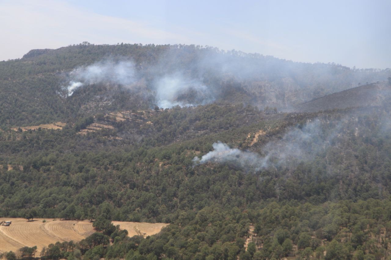 Combate 206 brigadistas el incendio forestal en la comunidad Rancho Viejo del municipio de Libres