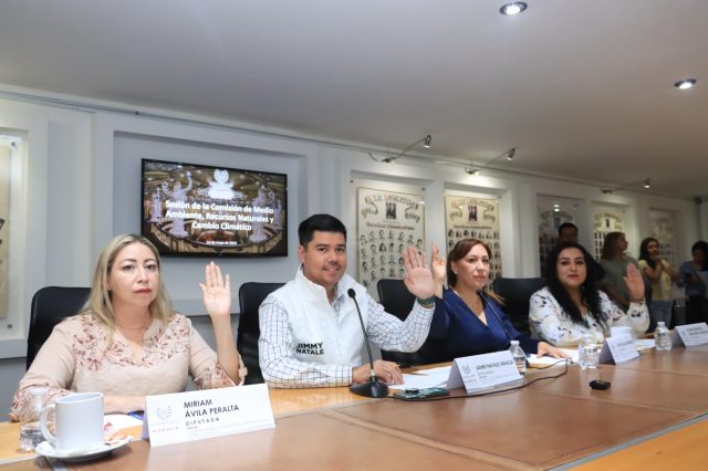 Aprueba Comisión del Congreso exhorto para prevenir incendios forestales