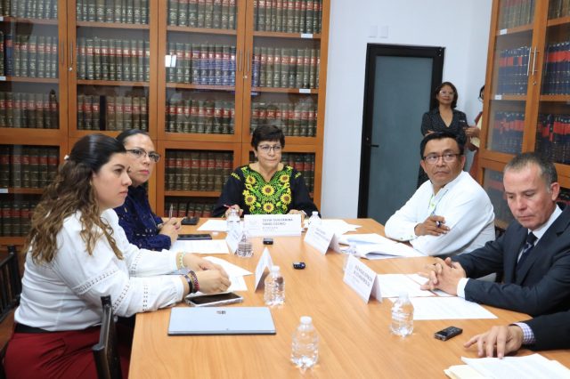 Avala Comisión del Congreso, establecer lenguaje incluyente en Ley de Entidades Paraestatales
