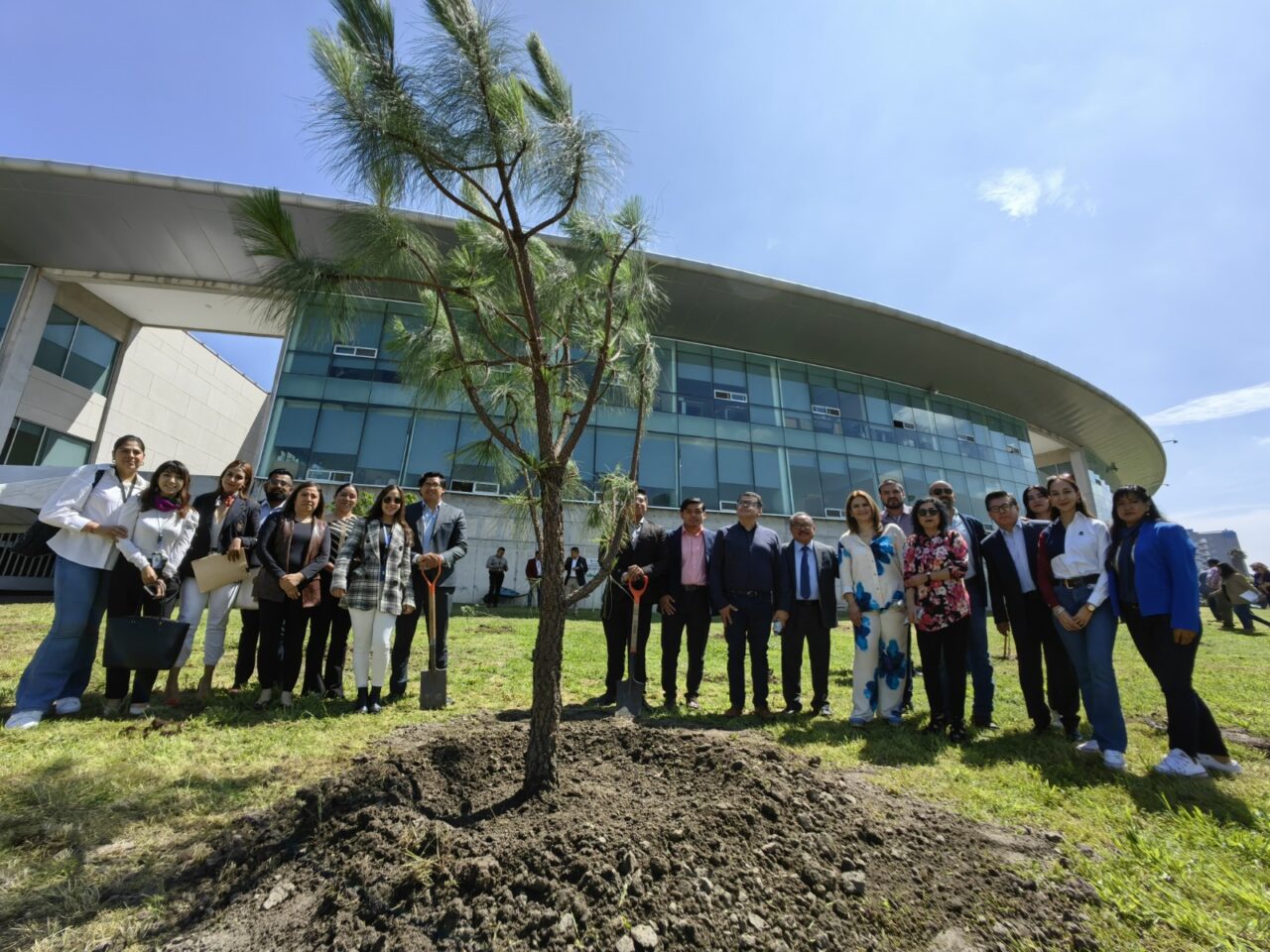 Reforestan perímetro de Ciudad Judicial