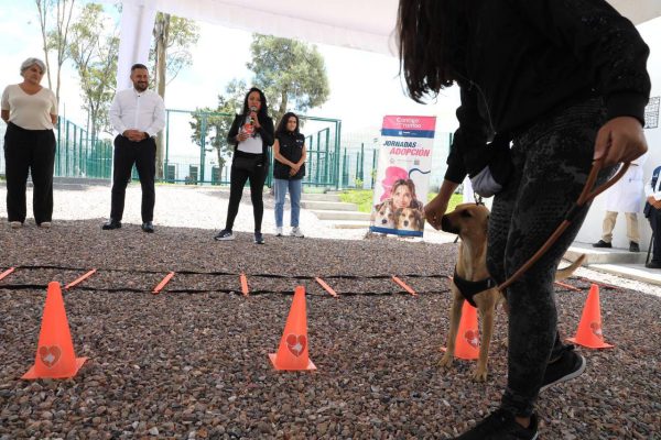 Inicia la semana del bienestar animal en la capital de Puebla