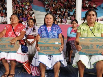 Con producto lácteo, Bienestar contribuye en nutrición de familias de Zongozotla