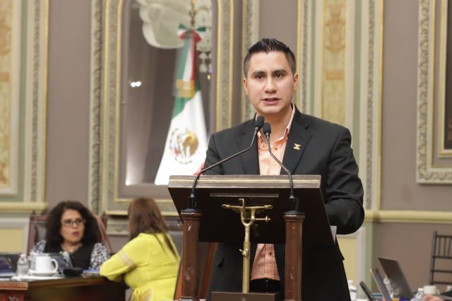 Proponen en Congreso creación del Programa Estatal de Adopción Animal Responsable
