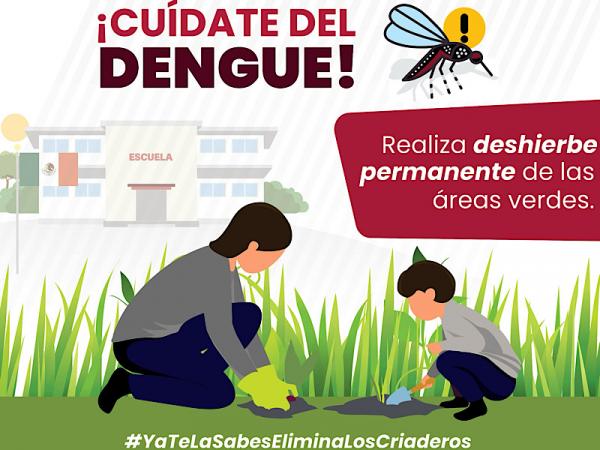 Sin defunciones ni contagios por dengue en las últimas 24 horas: Salud