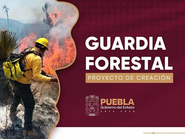 Prevención y combate de incendios, tareas de la Guardia Forestal del Estado
