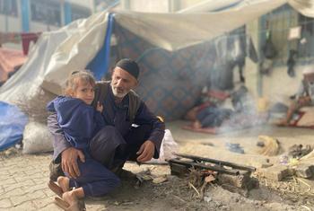 Qatar confirma cese al fuego en Gaza: Primer paso hacia la paz