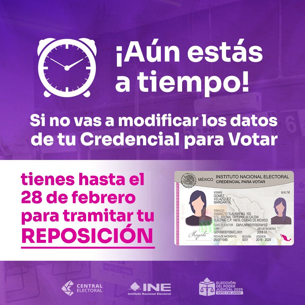 El 28 de febrero vence el plazo para solicitar la reposición de la INE