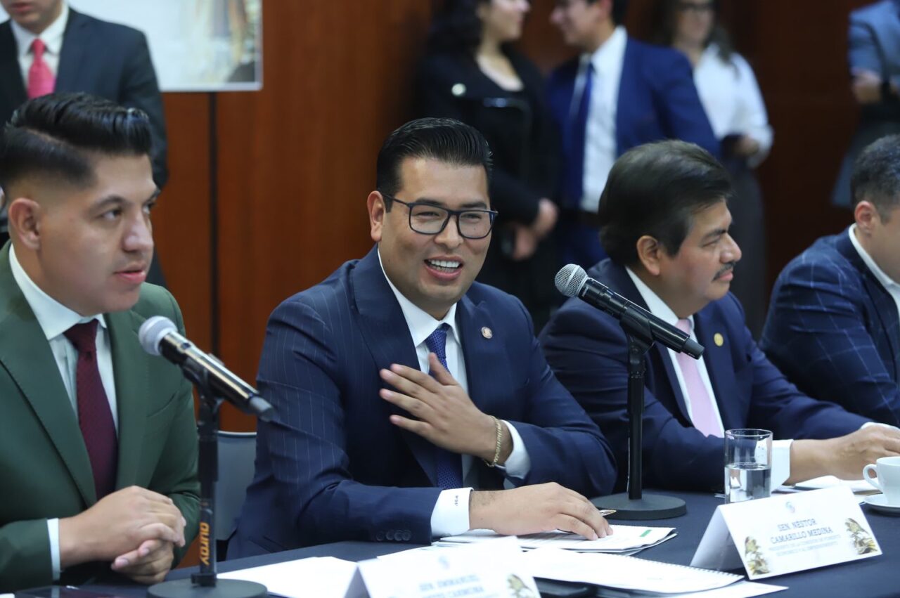 Desde el Senado impulsaremos la competitividad: Néstor Camarillo