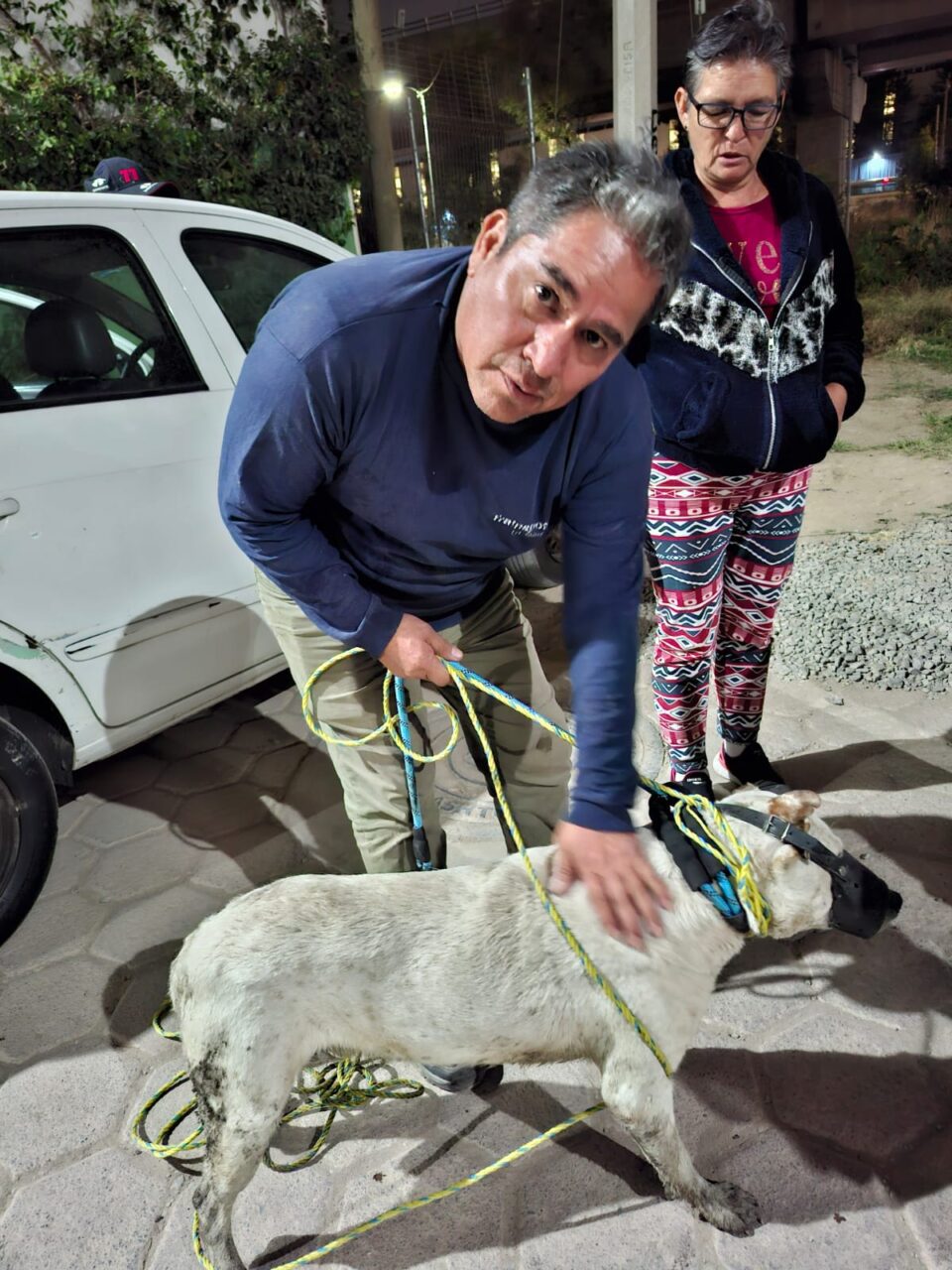 Centro de Bienestar Animal de Cuautlancingo logra rescatar a perrito caído en una zanja