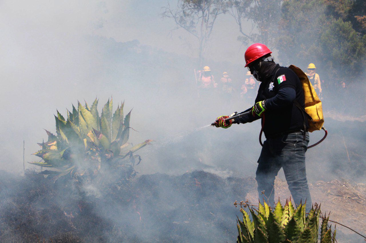 Profesionaliza SSP a Policía Estatal Forestal en protección al ambiente