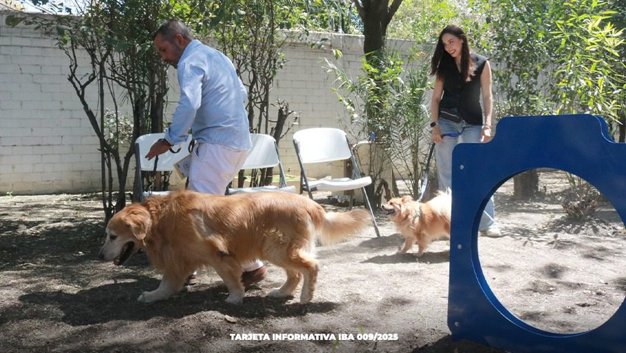 Medio Ambiente abre espacio “pet friendly” en favor del bienestar animal