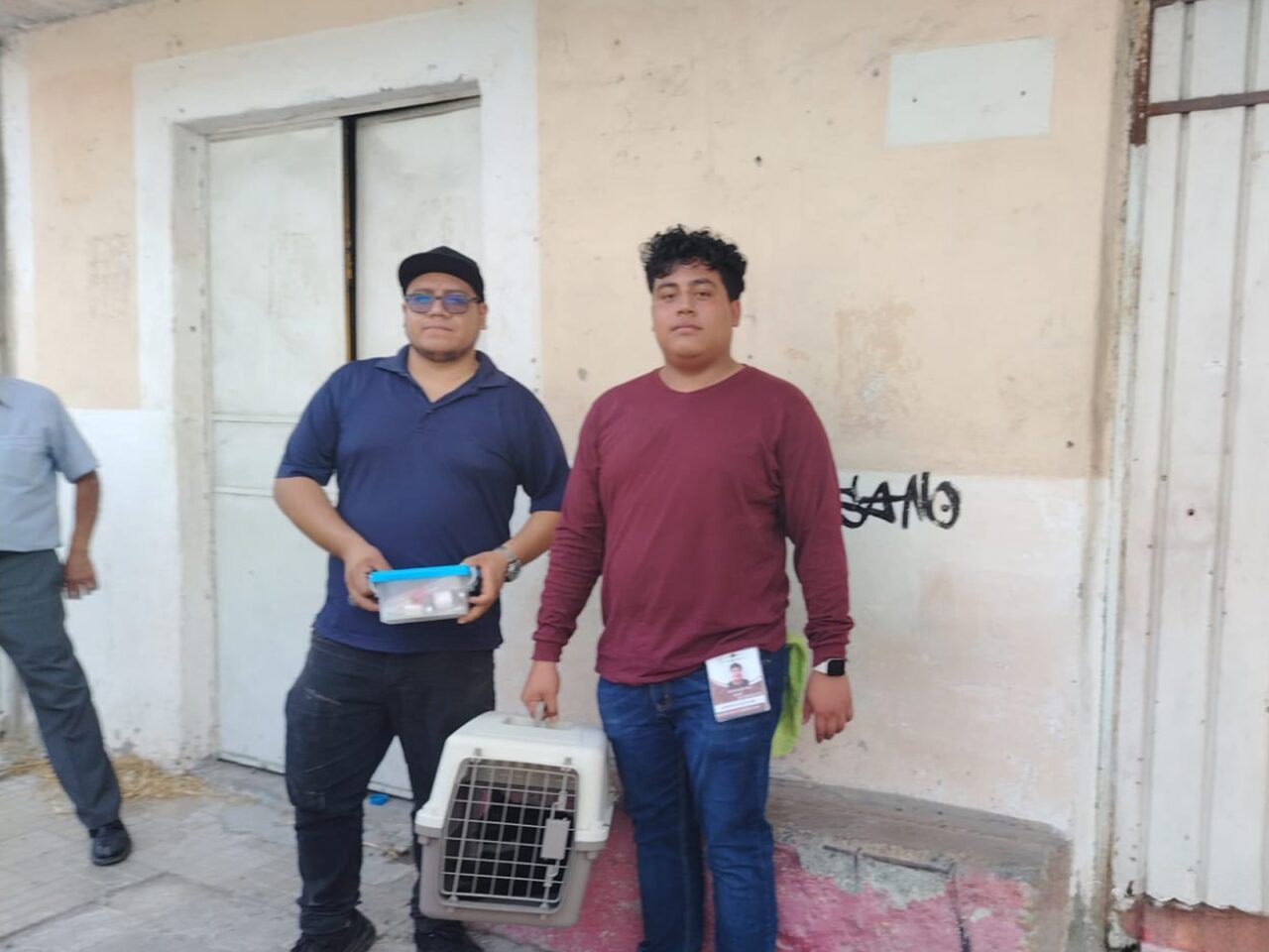 Rescate y atención de gatito encerrado en inmueble de Tehuacán