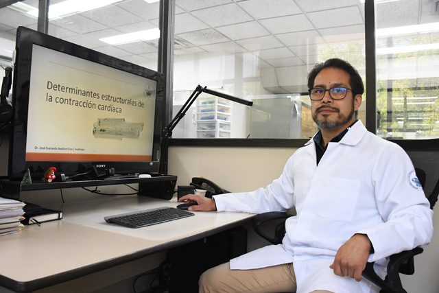 En el Instituto de Fisiología reside uno de los pocos grupos del país que estudia la relación estructura-función en las células cardiacas