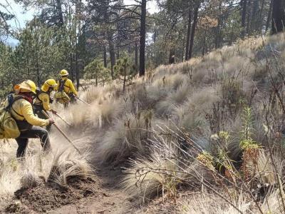 Con una efectividad del 100 por ciento, Gobierno de Puebla atiende incendios