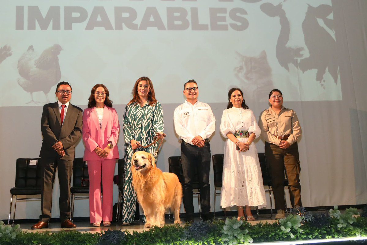 Por el bienestar animal el Gobierno de la Ciudad realizó el foro participativo «Patitas Imparables»