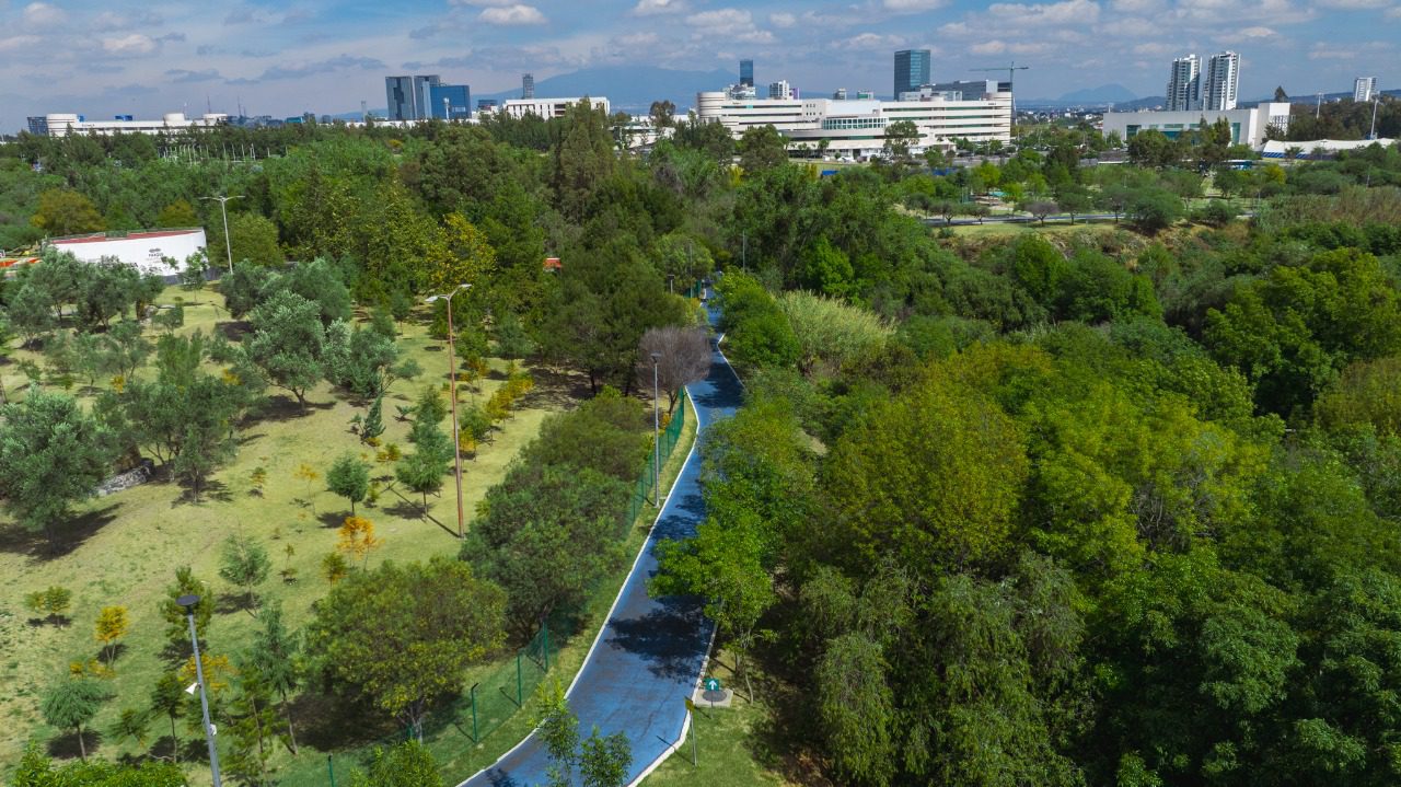 Convenciones y Parques realiza gestión integral del arbolado en el Parque Metropolitano y el Paseo del Río