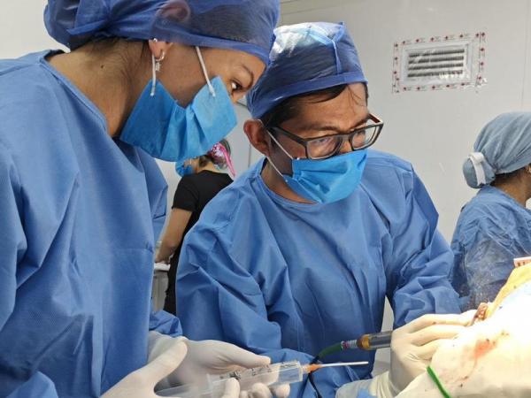 Estudiantes de la USEP participarán en Programa Nacional de Servicio Social