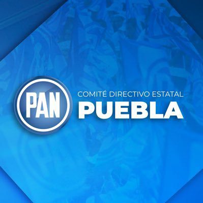 PAN Puebla solicita a la CNDH interponer acción de inconstitucionalidad contra el artículo 480 del Código Penal del Estado