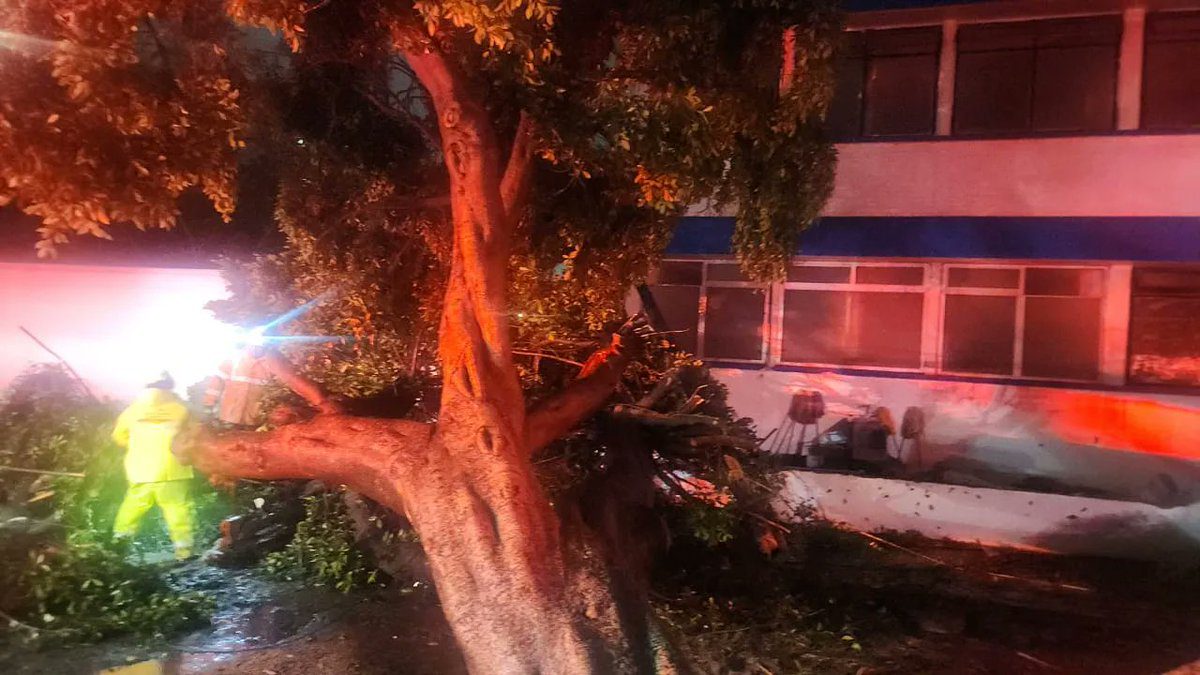 Atiende Gobierno de la Ciudad reportes por inundaciones y caída de árbol