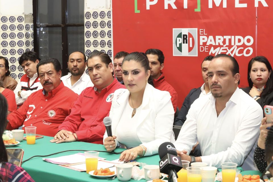 Delfina Pozos alza la mano por la dirigencia del PRI en Puebla: “Es tiempo de las mujeres”