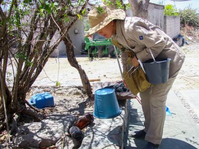Dengue disminuye 81% en Puebla durante 2025: Salud