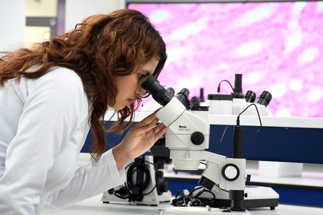 CU2: referente en innovación científica y formación de alta especialidad 