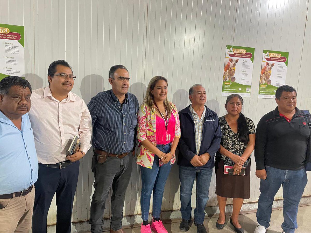 Refuerza Gobierno de la Ciudad acciones para prevenir la propagación del gusano barrenador