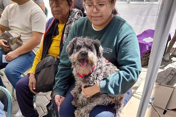 Acerca Gobierno de la Ciudad servicios de bienestar animal a colonias del municipio