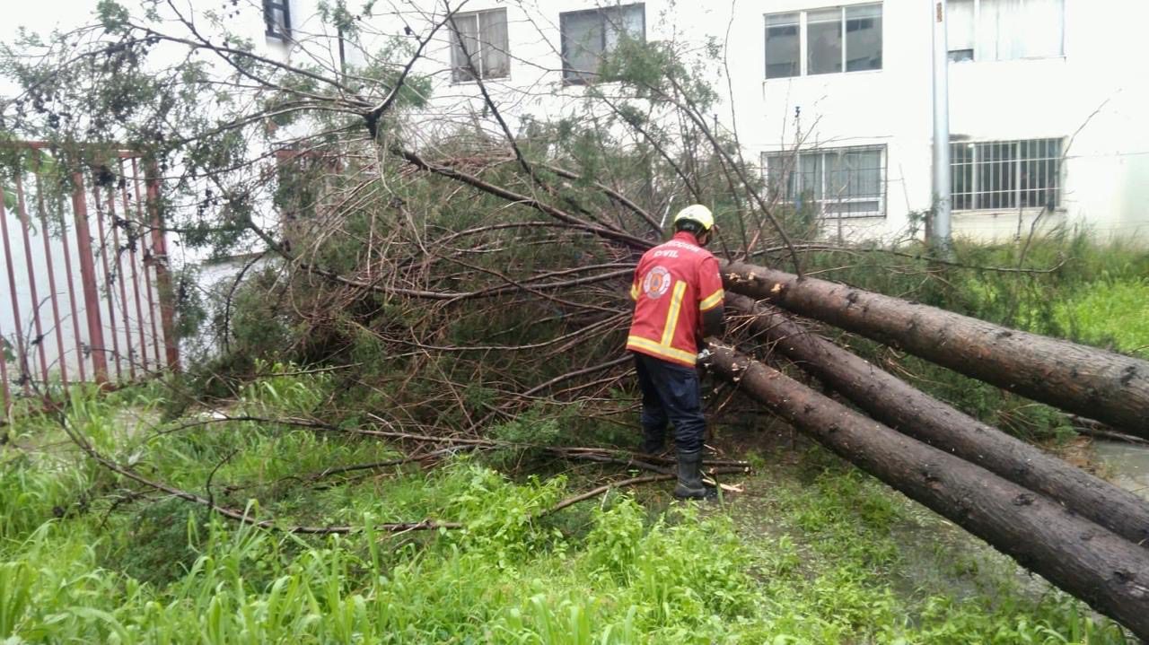 Respuesta inmediata ante lluvias: SSP y Protección Civil atienden emergencias en zona metropolitana por instrucciones de Armenta