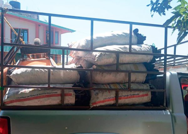 Aseguran SSP y PROFEPA 44 bultos de carbón presuntamente obtenidos de manera ilícita