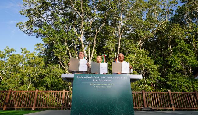 En un acuerdo histórico, México, Guatemala y Belice crean el Corredor Biocultural de la Gran Selva Maya, el más grande del mundo en su tipo