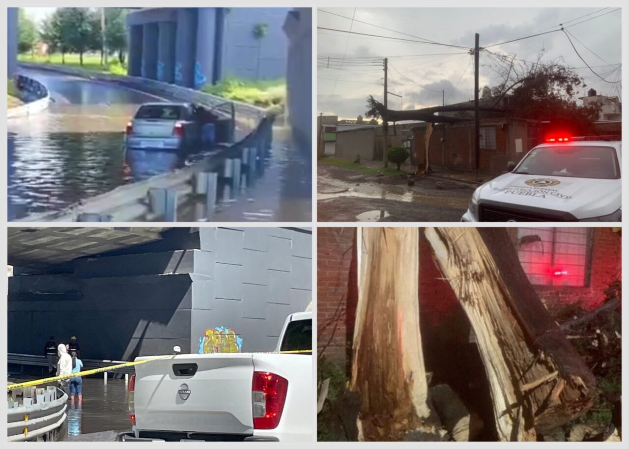 Inundaciones, autos varados y árboles caídos; saldo en Puebla tras fuertes lluvias