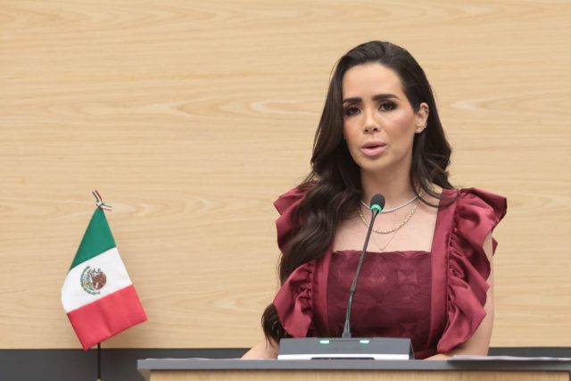 Impulsan en el Congreso exhorto para atender a animales en situación de calle