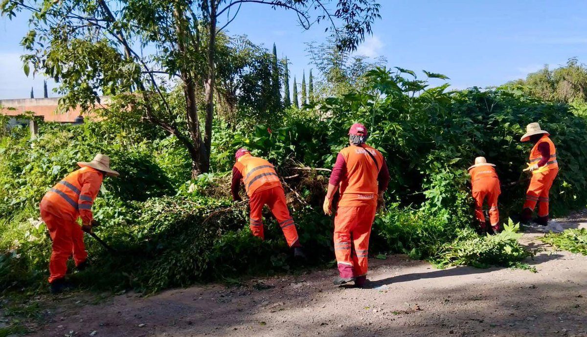 Realiza Gobierno de la Ciudad limpieza de alcantarillas en la Central de Abasto, en temporada de lluvias