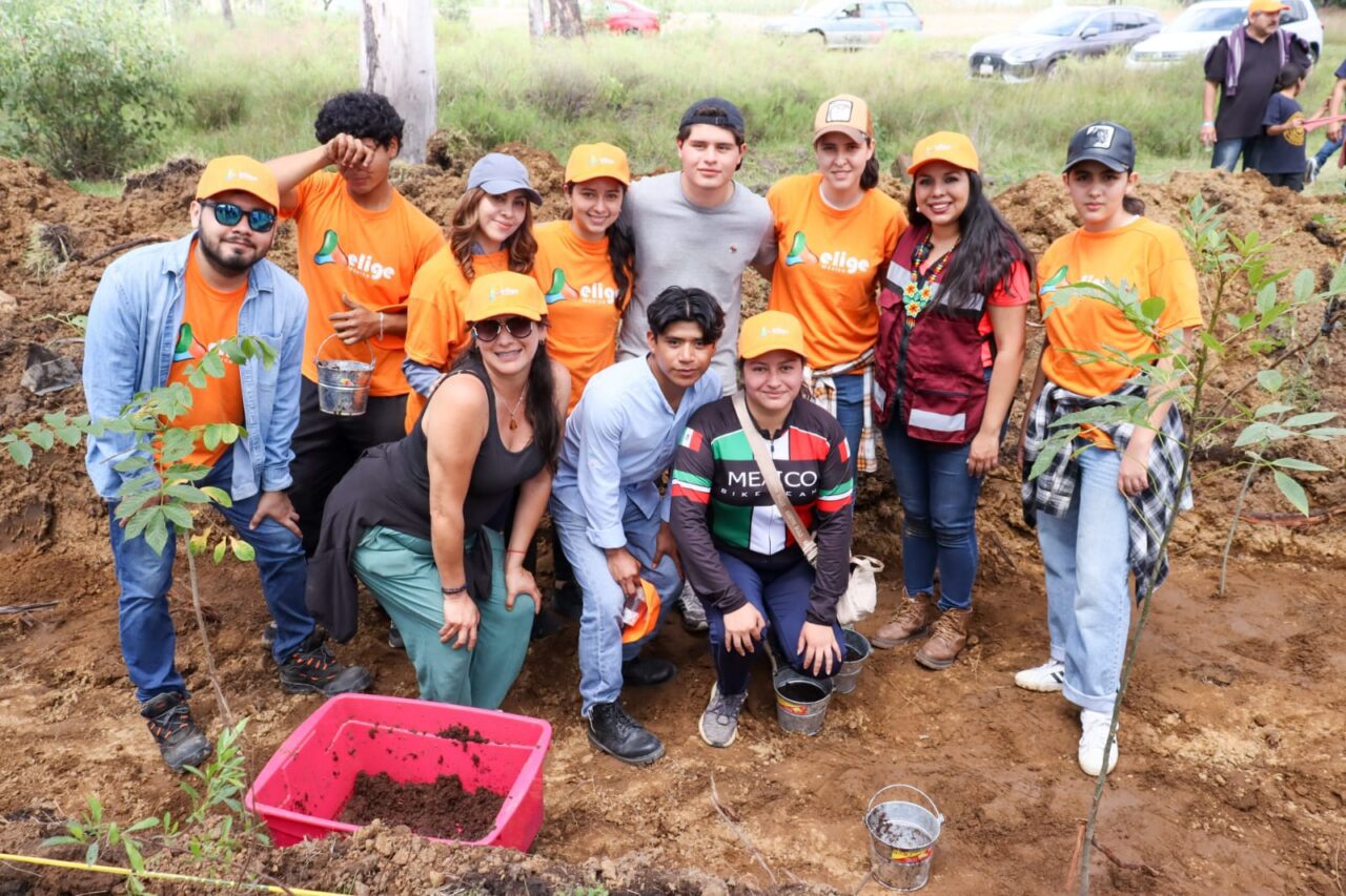 Tonantzin Fernández impulsa acciones ambientales con la jornada “Raíces de Agua” en el Cerro Zapotecas