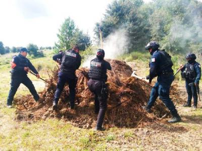 Inhabilita Policía Forestal 11 hornos clandestinos para la deshidratación de madera