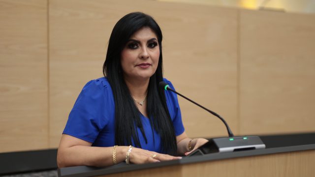 Impulsa Delfina Pozos iniciativa para reconocer y atender la salud mental materna en los servicios de salud pública