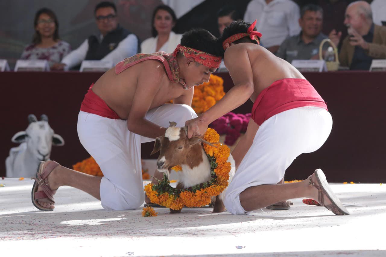 Entre tradición y esperanza: arranca la temporada del Mole de Caderas en Tehuacán