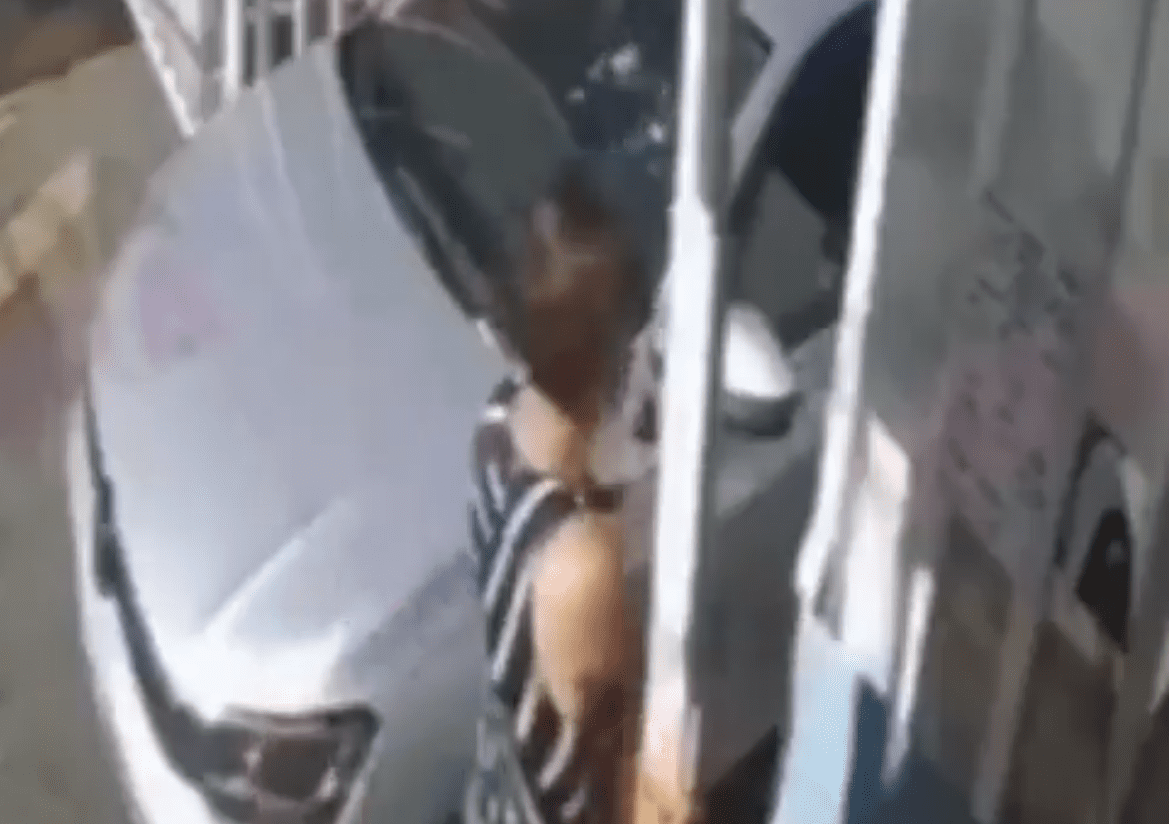 Agrede a vigilante en Puebla, la apodan “Lady pinche gato muerto de hambre”