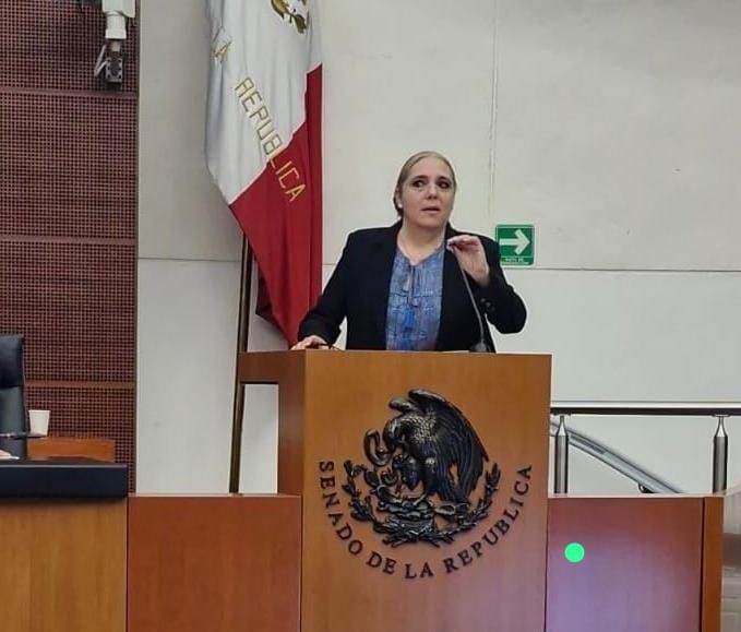 Difunde SEDIF modelo Centro LIBRE-Casa Carmen ante el Senado